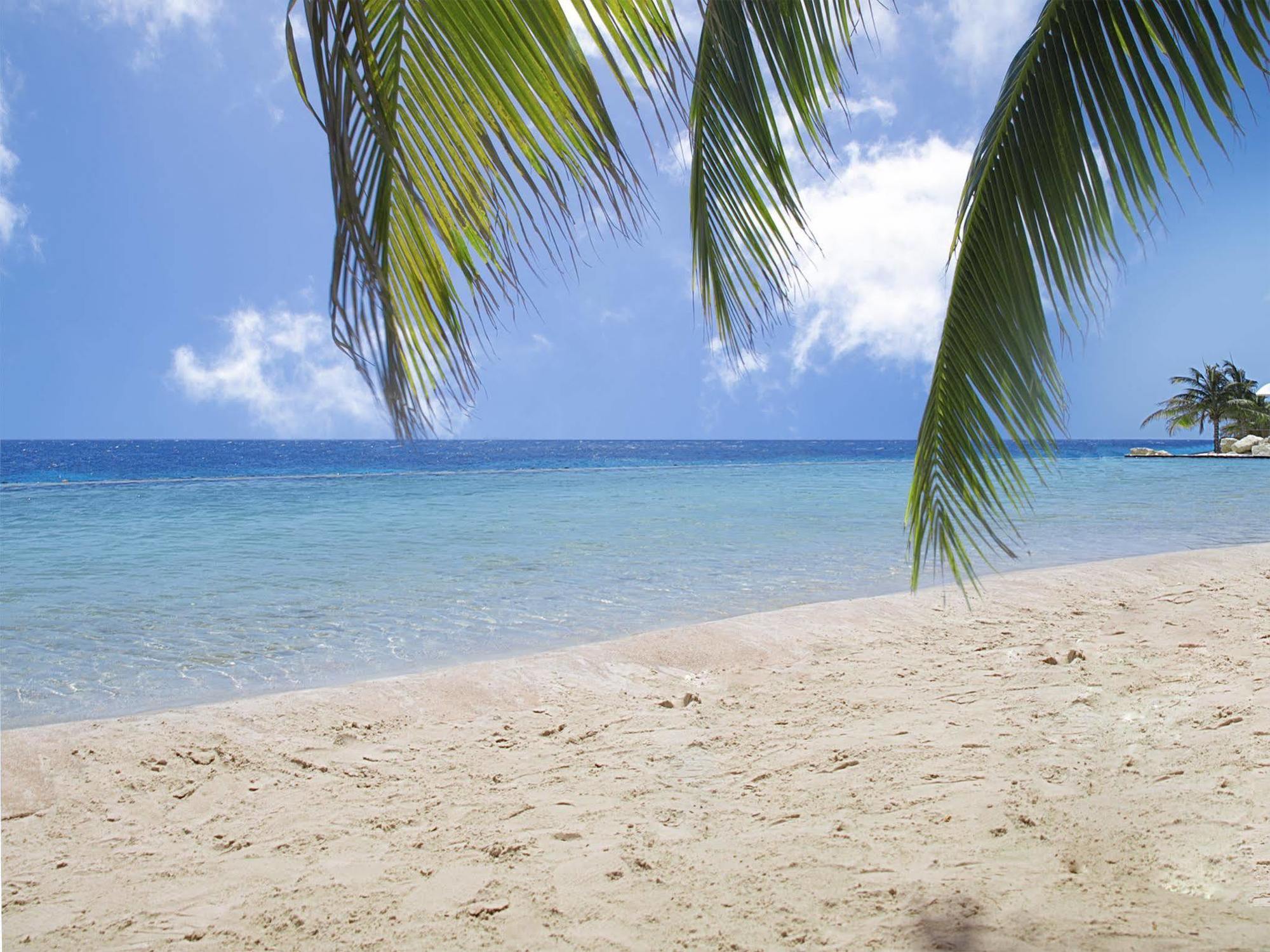 Papagayo Beach Resort (Adults Only) Виллемстад Экстерьер фото